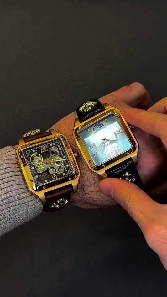 Premium Square Case Automatic Mechanical Watch with Skeleton Dial & Designer Leather Strap