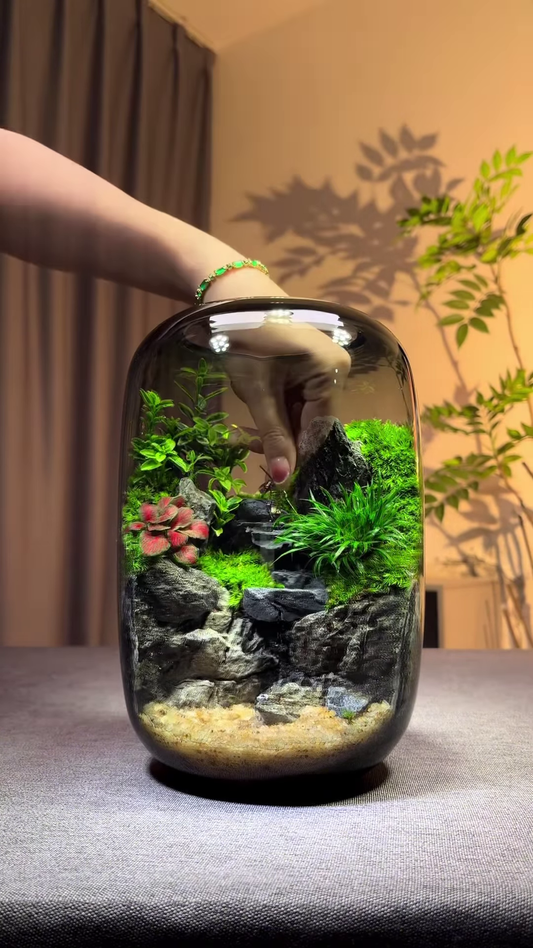 Luxurious Self-Sustaining Desktop Ecosystem - Handcrafted 2-in-1 Terrarium and Nano Aquarium with Integrated LED Base